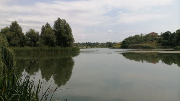 Ексголову Укренерго Кудрицького взяли під варту Пейзаж Білоцерківського району, вид на озеро і ліс навколо