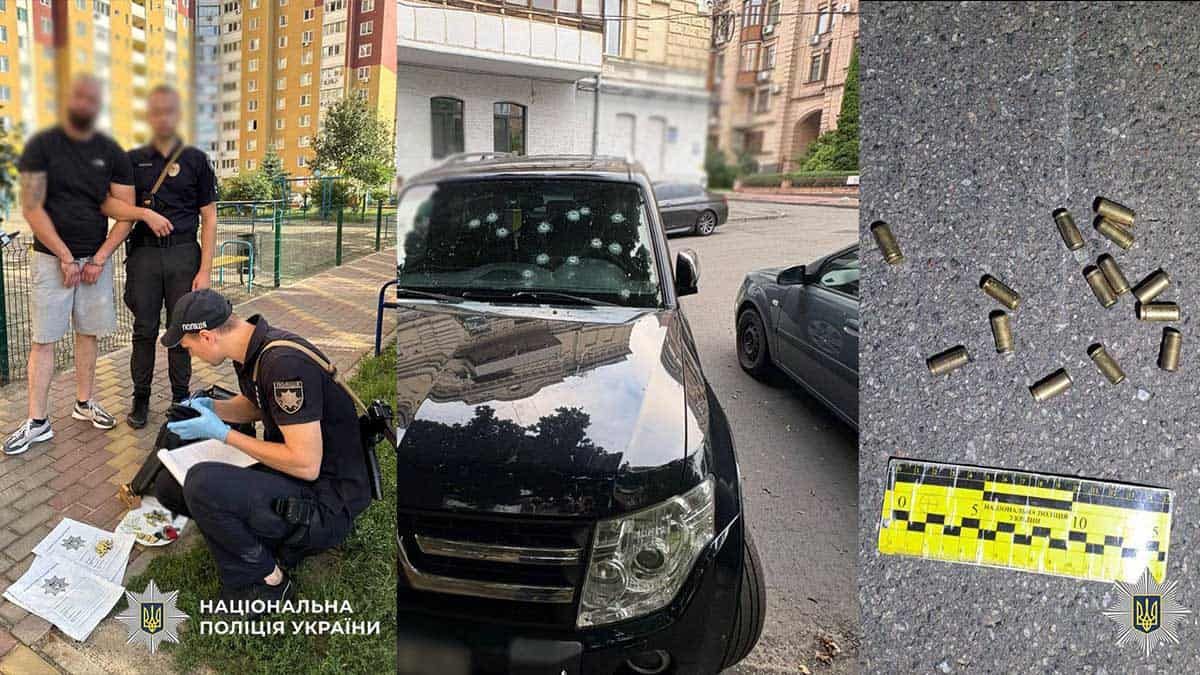 Стрілянина у дворі на Виноградарі: зловмисника затримано Стрілянина у дворі на Виноградарі: зловмисника затримано