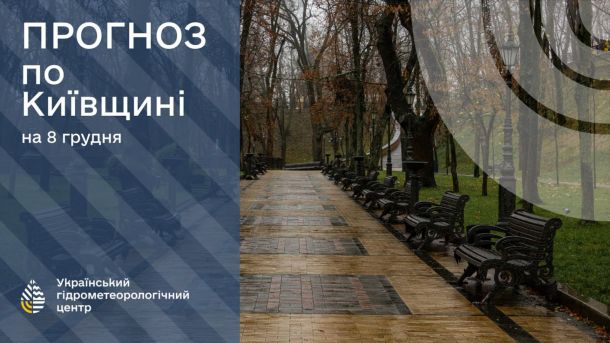 Бійка на дитячому майданчику: у Києві побили 13-річного хлопця Алея в парку Києва, дерева без листя, плитка мокра