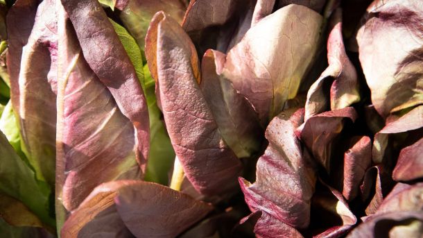 Сільськогосподарські ярмарки у Києві: де купити продукти цього тижня Продуктовий сільськогосподарський ярмарок у Києві — свіжі овочі, фрукти та продукти від виробників на міській вулиці