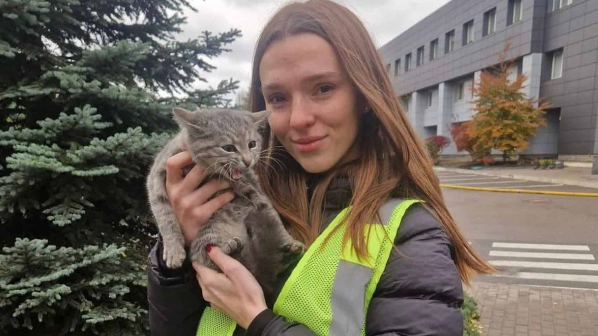 Кошеня з-під уламків у Києві прихистила поліцейська Слідча поліції на вулиці тримає в руках маленьке сіре кошеня, яке нявчить