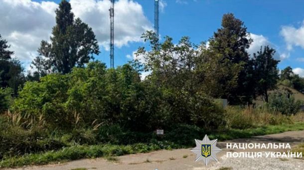 У Києві судитимуть молодика за напад з ножем: йому загрожує 15 років Ділянка землі, на якій ростуть дерева і кущі