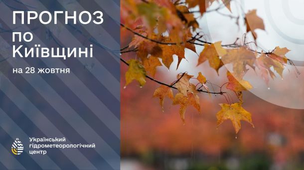 Погода в Києві та області 30 жовтня: без опадів і до +16° Жовте листя і напис про прогноз погоди на Київщині на 28 жовтня