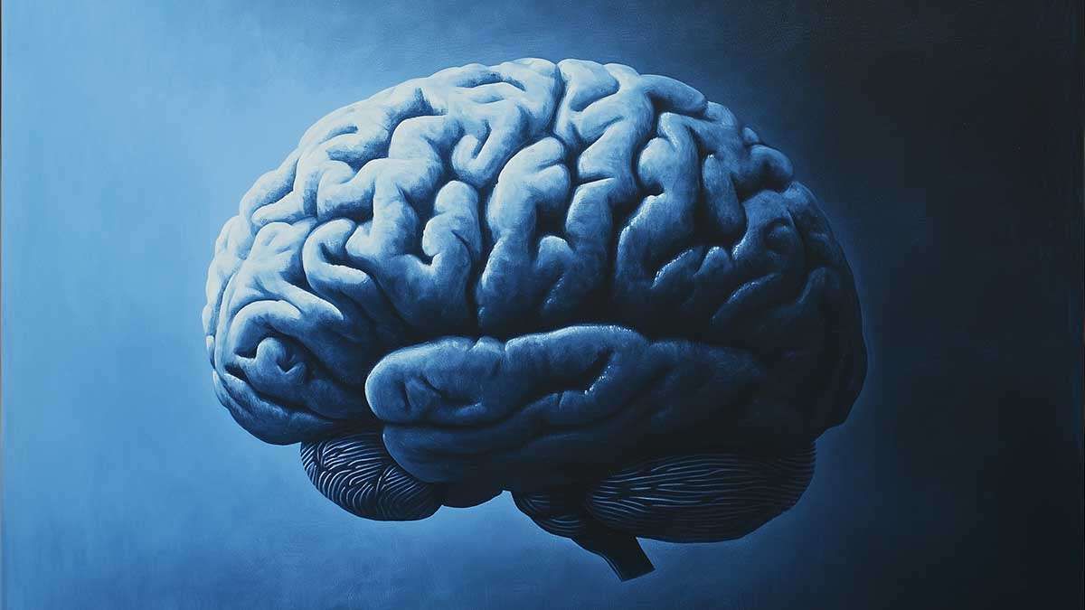 Nature: Як мозок контролює свідомість? Вчені знайшли ключову роль таламуса мозок