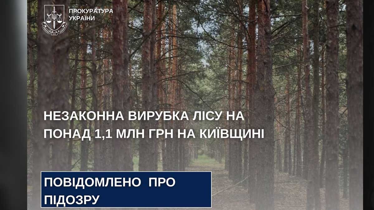 Незаконна вирубка на Київщині: збитки понад 1,1 млн грн, інженеру повідомлено про підозру Незаконна вирубка на Київщині: збитки понад 1,1 млн грн, інженеру повідомлено про підозру