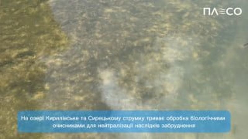 Головні новини Києва | Kyiv.News Фахівці КП «Плесо» вносять біологічний очисник TREVITAN у Сирецький струмок після атаки РФ 2 липня