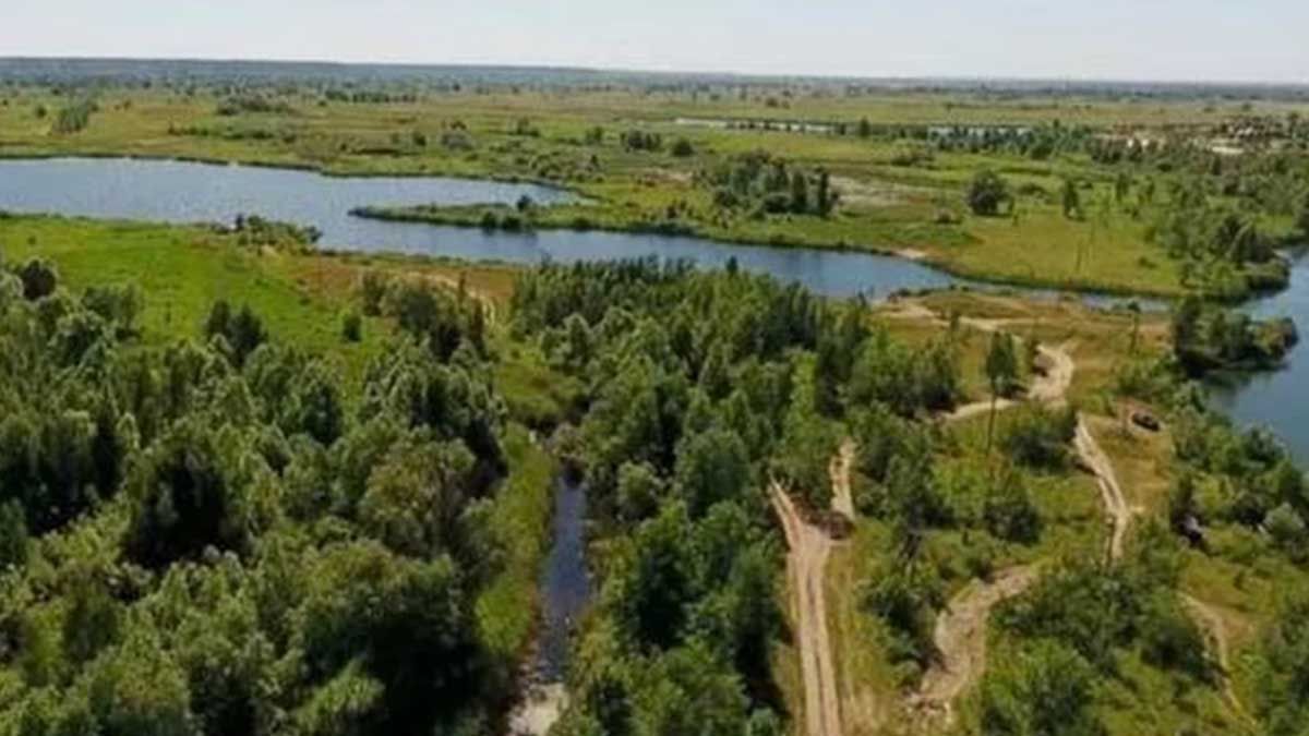 Суд зобовʼязав знести самобуди в заказнику «Деснянські луки» Суд зобовʼязав знести самобуди в заказнику «Деснянські луки»