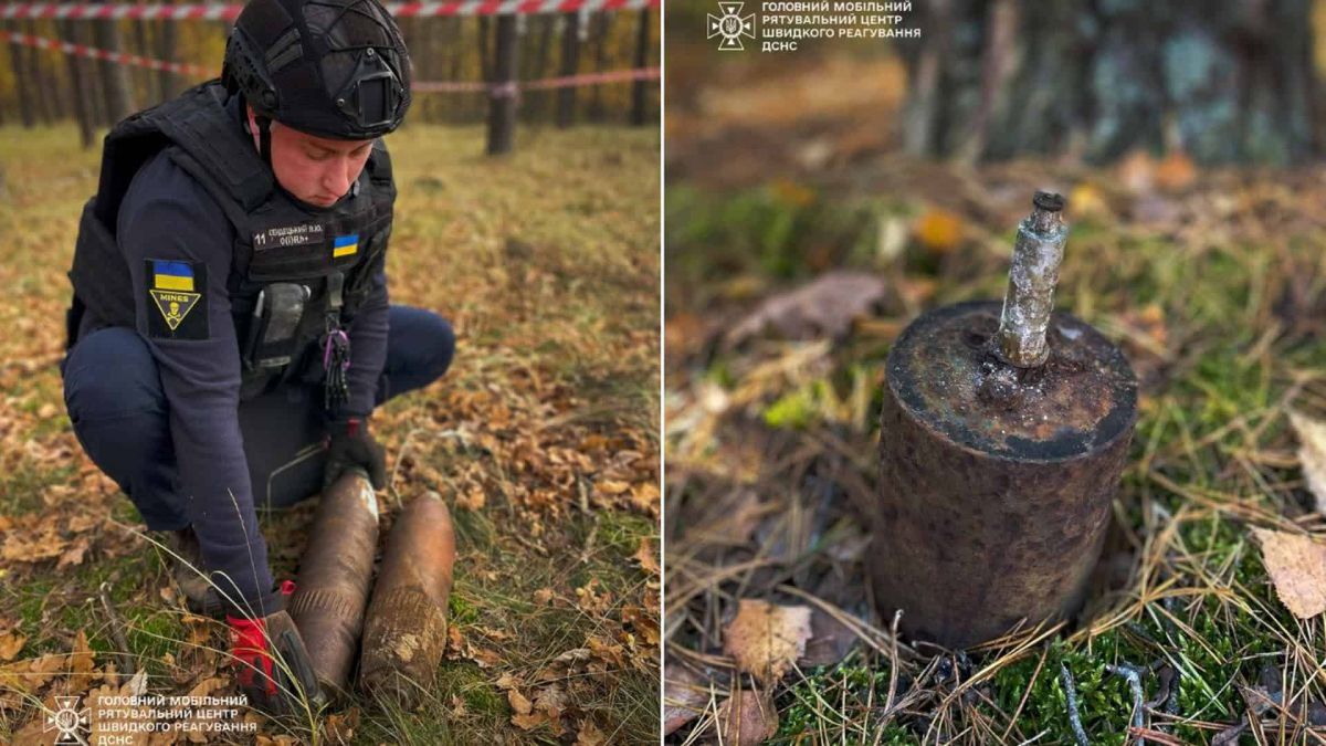 Під Києвом грибник натрапив на «міну-жабу» часів Другої світової Рятувальник оглядає снаряди в лісі; крупний план іржавої протипіхотної міни «Жаба» у траві