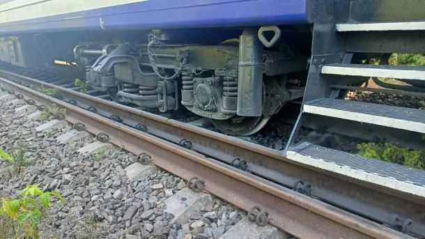 Авто — не будка: у Києві нагадали про смертельну небезпеку спеки для тварин Авто — не будка: у Києві нагадали про смертельну небезпеку спеки для тварин