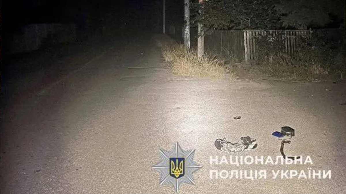 На Київщині п’яний водій насмерть збив жінку й утік: трагедія в Клавдієво-Тарасовому На Київщині п’яний водій насмерть збив жінку й утік: трагедія в Клавдієво-Тарасовому