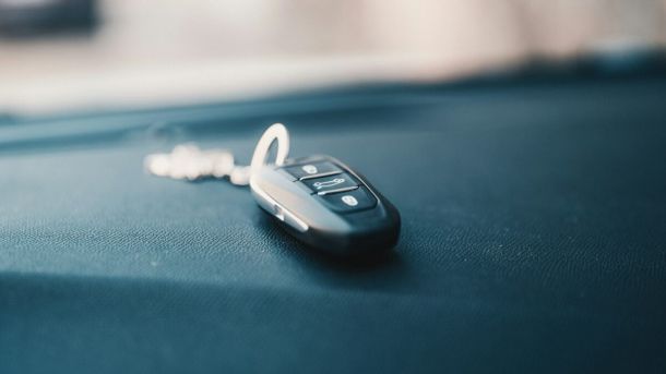 У 2025 році в Києві зафіксували 4 випадки сказу в тварин У 2025 році в Києві зафіксували 4 випадки сказу в тварин