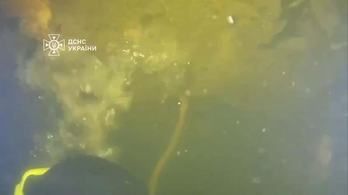 Водолази ДСНС 6 діб працювали в крижаній воді –15°C: зупинили витік на столичній ТЕЦ Водолаз під час ремонтної роботи під водою