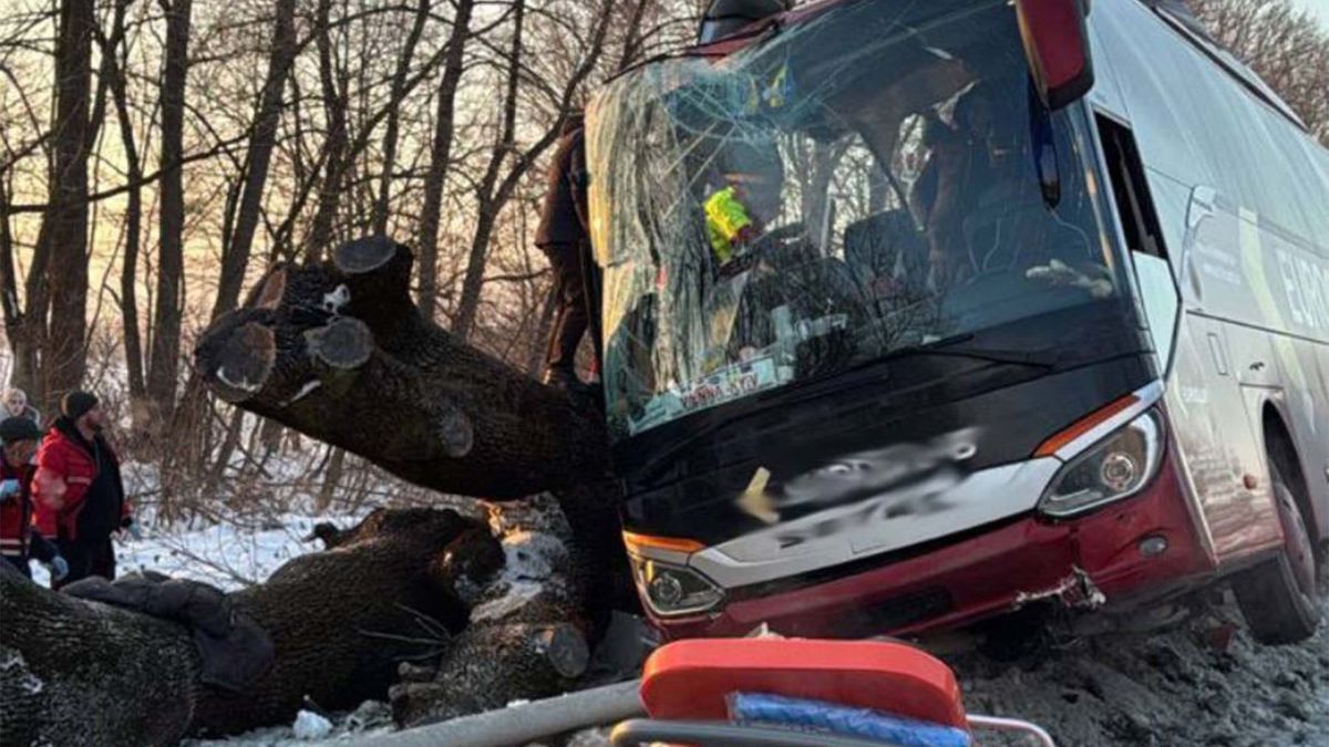 Автобус «Відень-Київ» врізався в дерево на Львівщині: 7 госпіталізовано Автобус, пошкоджений в ДТП і злетівший з магістралі, вид спереду