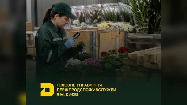 Якість повітря в Києві 22 червня — дуже низький рівень забруднення, радіаційний фон у нормі Інспекторка Держпродспоживслужби перевіряє з лупою рослину серед ящиків із квітами на складі в Києві
