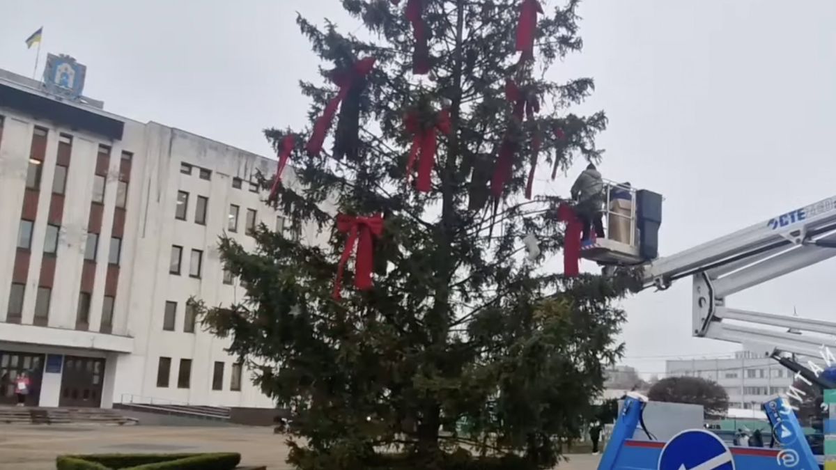 У Броварах прибрали прикраси з живої ялинки в центрі міста: що сталося Ялинка в Броварах прикрашена червоними банттами