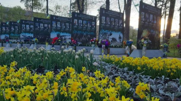 Посли Монголії, Перу та Панами відвідали Софію Київську Алея пам'яті з іменними дубами у парку Партизанської Слави в Дарницькому районі Києва — стенди із фотографіями загиблих захисників серед жовтих нарцисів