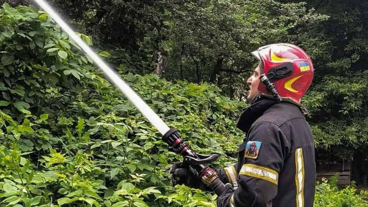 Другу добу гасять пожежу на острові Любичів на Десні Пожежа на Голосіївському проспекті: вогонь охопив 100 кв. м