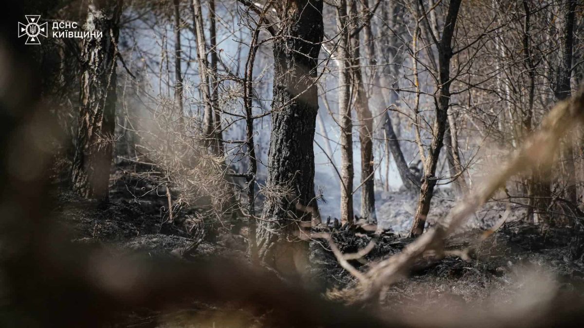 Пожежа у Зоні відчуження: вогонь охопив 412 га Пожежа у Зоні відчуження: вогонь охопив 412 га