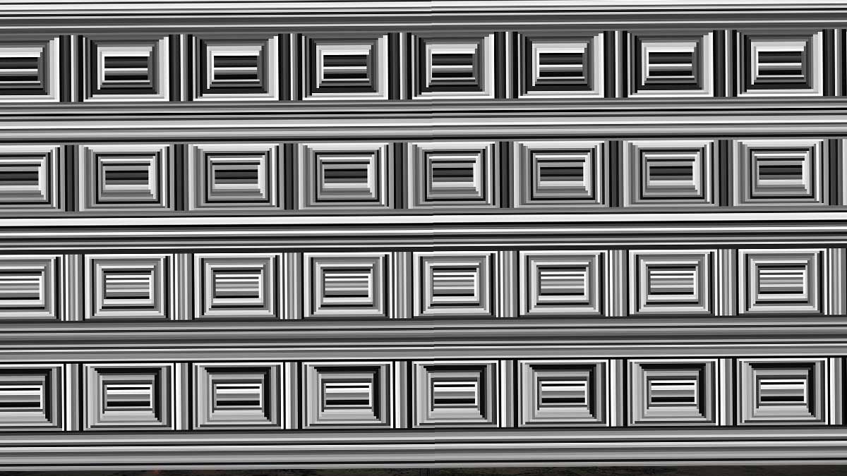 Коли круги стають квадратами: як культура програмує наше сприйняття Коли круги стають квадратами: як культура програмує наше сприйняття