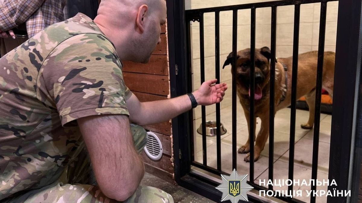 Пес Міша, якого не пускали в метро, отримує належний догляд — поліція Чоловік у камуфляжній формі простягає руку до великого собаки у клітці