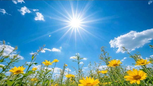 Прогноз погоди на 30 квітня: у Києві та області буде сухо й до 20° тепла Прогноз погоди на 30 квітня: у Києві та області буде сухо й до 20° тепла