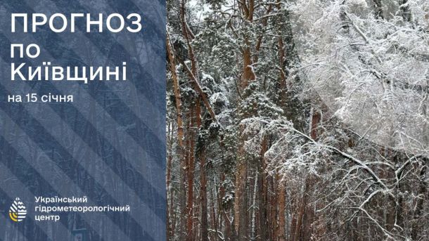 Київ 18 січня: до -19° морозу вночі та ожеледиця на дорогах Прогноз погоди на 15 січня. Інфографіка Укргідрометцентру із зображенням засніженого лісу