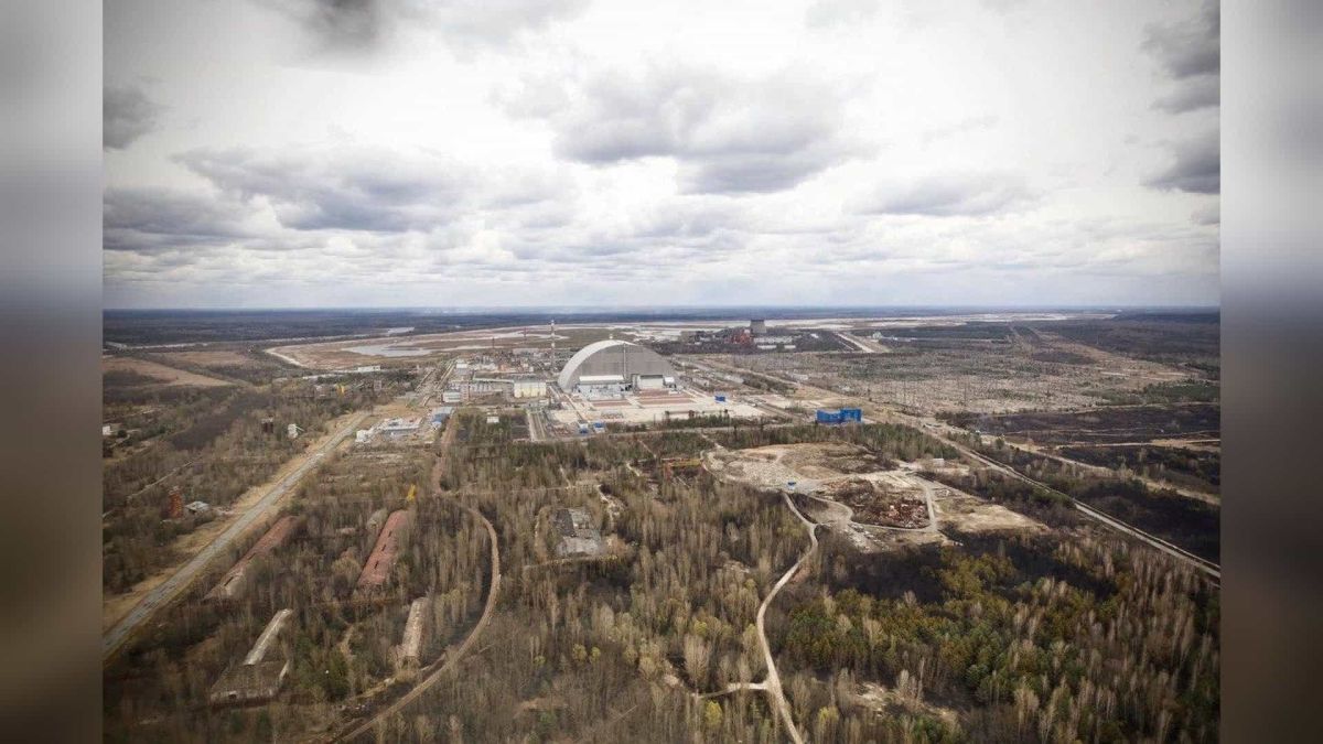 Бурого ведмедя знову зафіксували в Чорнобильському заповіднику на Київщині Сліди бурого ведмедя на обпаленій ділянці Чорнобильського радіаційно-екологічного біосферного заповідника на Київщині