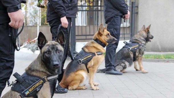 Втрати армії РФ за добу: понад тисяча солдатів і 250 безпілотників Службові собаки
