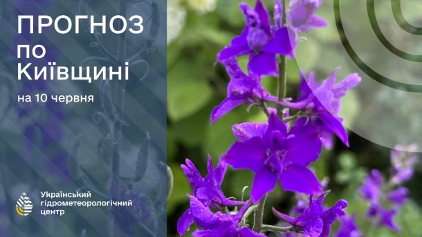 Погода на 14 червня: у Києві до +20 та короткочасні дощі Погода на 14 червня: у Києві до +20 та короткочасні дощі