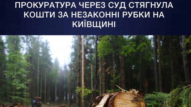 Пожежа на Білоцерківщині: дерево впало на Nissan під час негоди Господарський суд Київської області стягнув понад 5 млн грн за незаконну вирубку лісу на Київщині