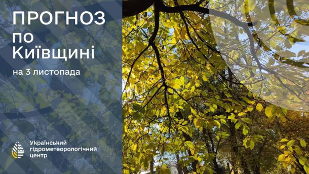 У столиці 5 листопада очікується тепла осіння погода без денних опадів Осіннє листя і напис про прогноз погоди на Київщині на 3 листопада