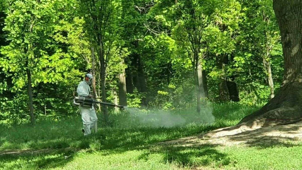 У парках Дарницького району Києва проведуть хімічну обробку від кліщів: де і коли Обробка зелених зон від кліщів. Фото: КУ УЗН Шевченківського району