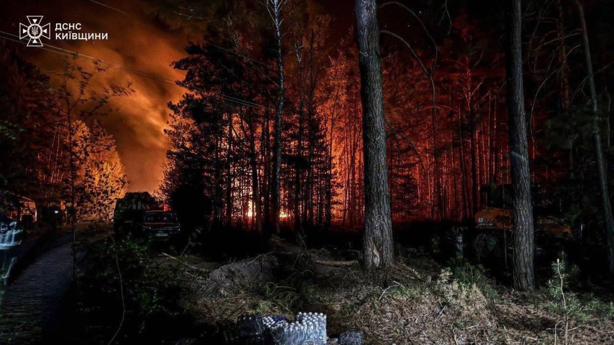 Пожежа у Зоні відчуження: вогонь пройшов 1200 га лісу Пожежа у Зоні відчуження: вогонь пройшов 1200 га лісу