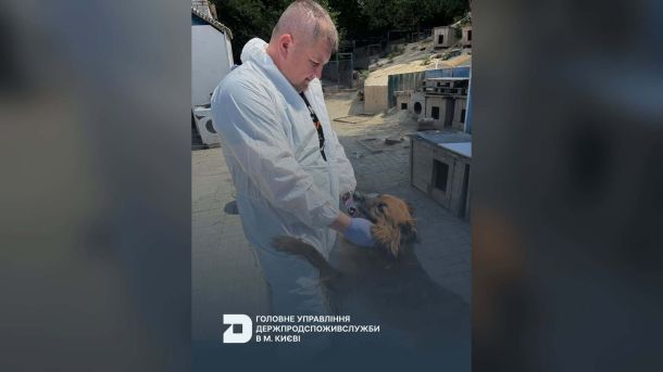 Посадовця Держцентру зайнятості підозрюють у переплаті 16,5 млн грн за сервери Фахівець Держпродспоживслужби Києва вакцинує собаку від сказу в притулку «SOS» у Голосіївському районі