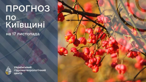 Київ 17 листопада: теплий день після нічного дощу — прогноз Прогноз погоди на 16 листопада: зображення Укргідрометцентру