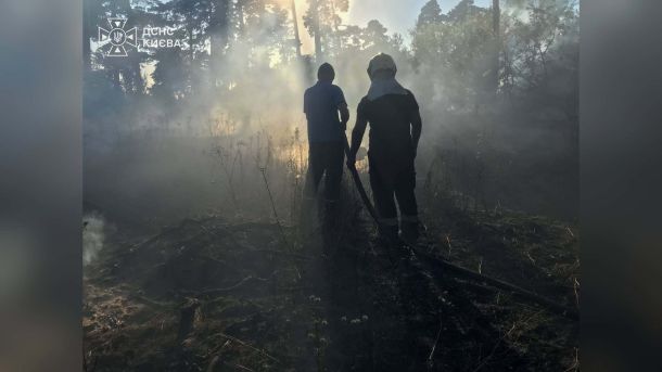 У Дарницькому р-ні БпЛА підпалив 2,5 Га трави та дерев Пожежа на відкритій території у Дарницькому р-ні Києва після влучання ворожого БпЛА, площа загоряння — 2,5 Га