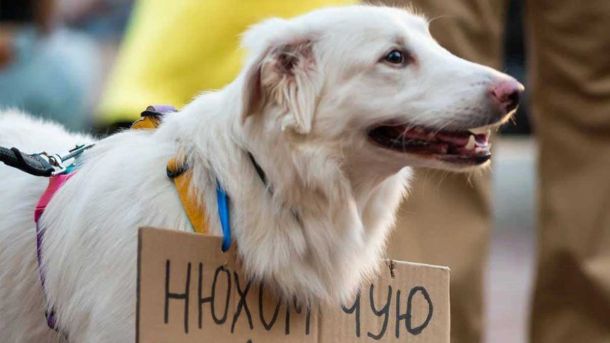 «Маніяк» з Оболоні виявився жінкою з синім волоссям: авторка поста дала пояснення «Маніяк» з Оболоні виявився жінкою з синім волоссям: авторка поста дала пояснення