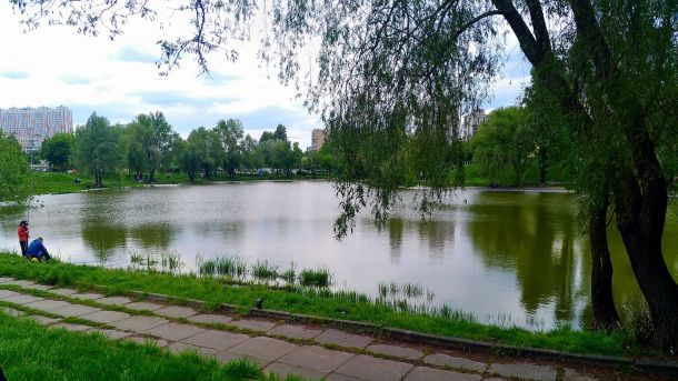 Київ розширює зони без косіння трави: у пріоритеті — волога, тінь і біорізноманіття Київ розширює зони без косіння трави: у пріоритеті — волога, тінь і біорізноманіття