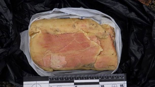 Смертельна ДТП в центрі Києва: експрацівник прокуратури отримав 7,5 років тюрми Пластична вибухова речовина в пакеті