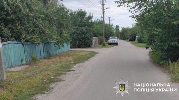 Київщина: у ДТП із маршруткою загинула 1 людина та постраждали ще четверо Сільська вулиця з поліцейським авто, дерев’яними парканами та зеленими деревами обабіч дороги