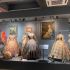 Головні новини Києва | Kyiv.News Victoria Museum у Києві відкрив ювілейний 10-й сезон
