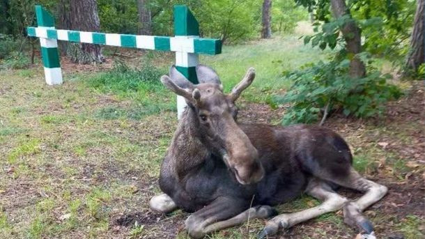 У Києві може з’явитися пам’ятник Джорджу Вашингтону: деталі ініціативи У Києві може з’явитися пам’ятник Джорджу Вашингтону: деталі ініціативи