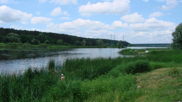 7 років в’язниці за розбій після знайомства онлайн: вирок у Києві Літній краєвид Дніпра з зеленими берегами, очеретом, лісом та людьми на відпочинку біля води