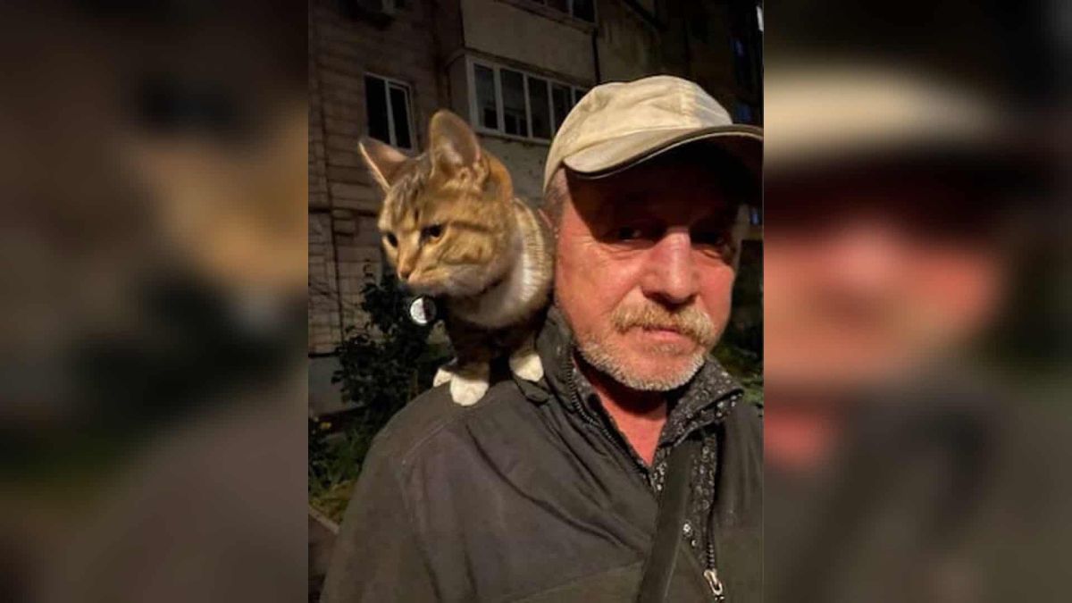 Понад 6000 киян підписали петицію за меморіал дяді Саші Олександр Перга — двірник ЖЕД-103, який закрив собою 12-річного хлопчика під час стрілянини на Голосіївському проспекті у Києві