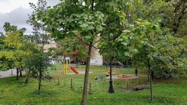 На Переяславщині зафіксували сказ у собаки: в селі Ковалин ввели карантин На Переяславщині зафіксували сказ у собаки: в селі Ковалин ввели карантин