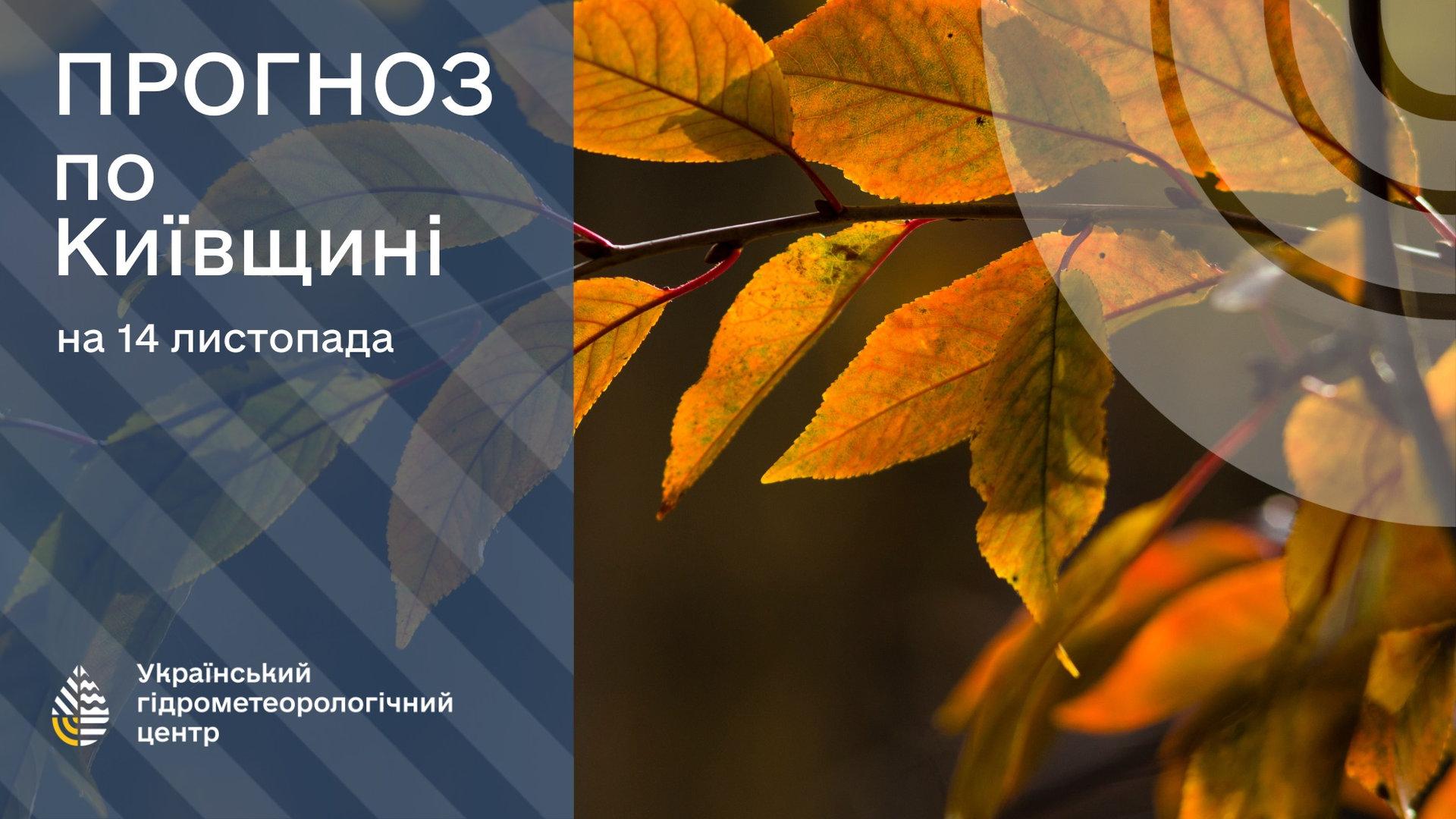Жовте осіннє листя і прогноз погоди на 14 листопада