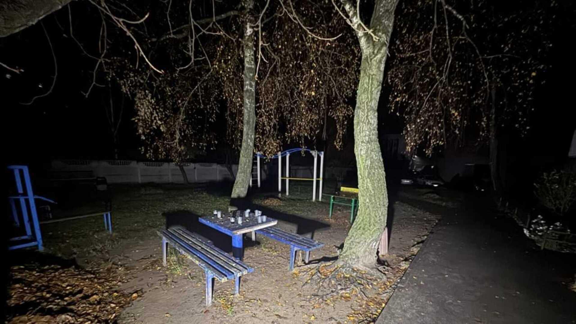 Двір у Вишгороді, де відбулась бійка