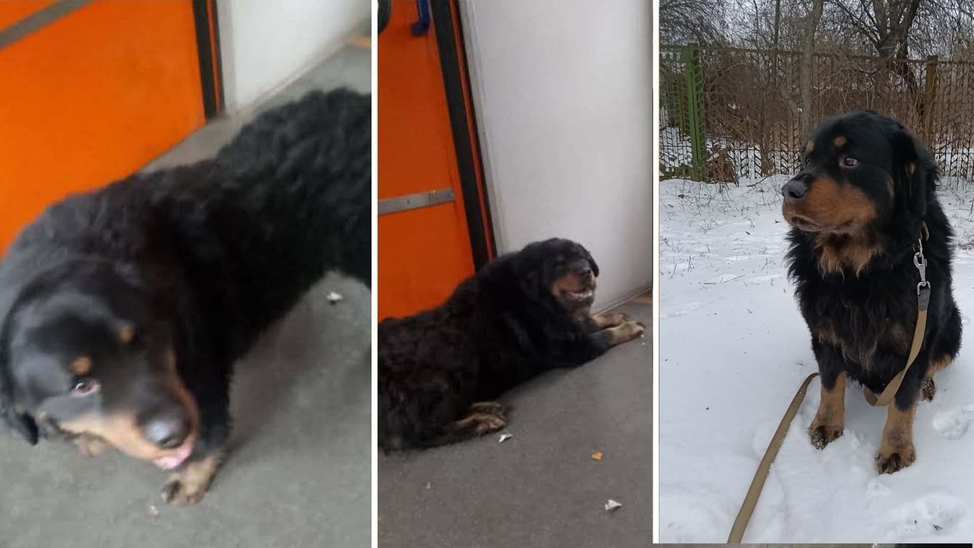 Ветерани з Київщини поїдуть на Strong Spirit’s Games у Мадрид