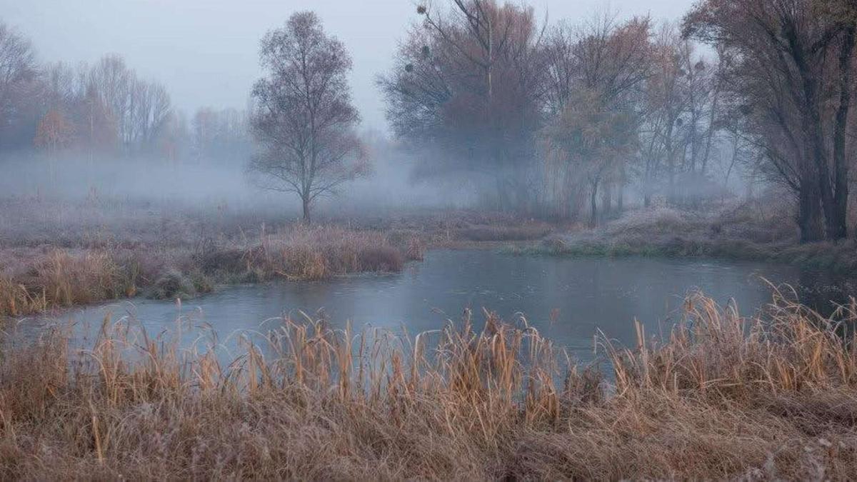 У понеділок в Києві без дощу, але з туманом: вдень до +15° Осінній жовтий ліс і річка