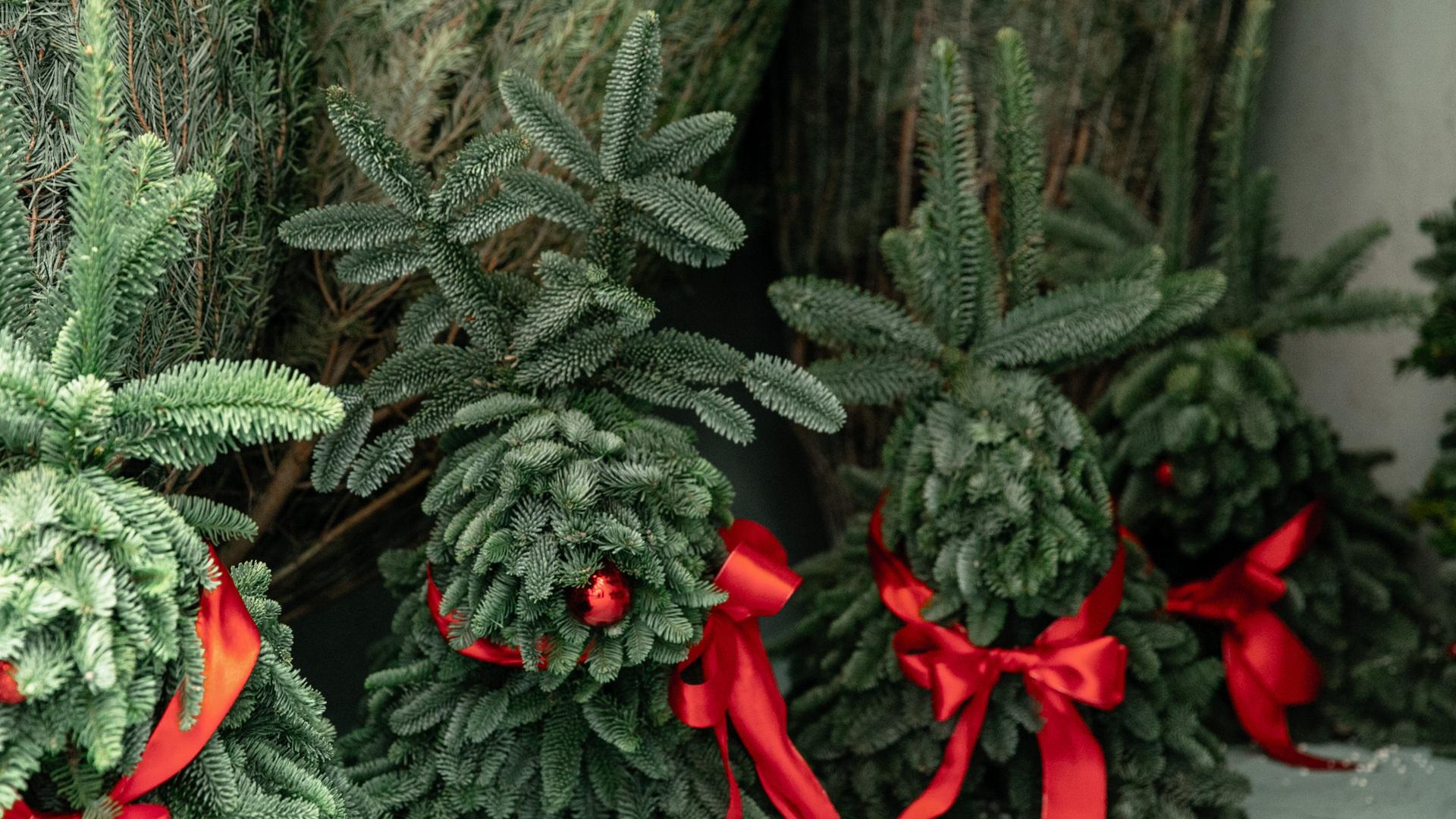 Ялинки зі святковими червоними бантами на одному з новорічних ярмарків у Києві